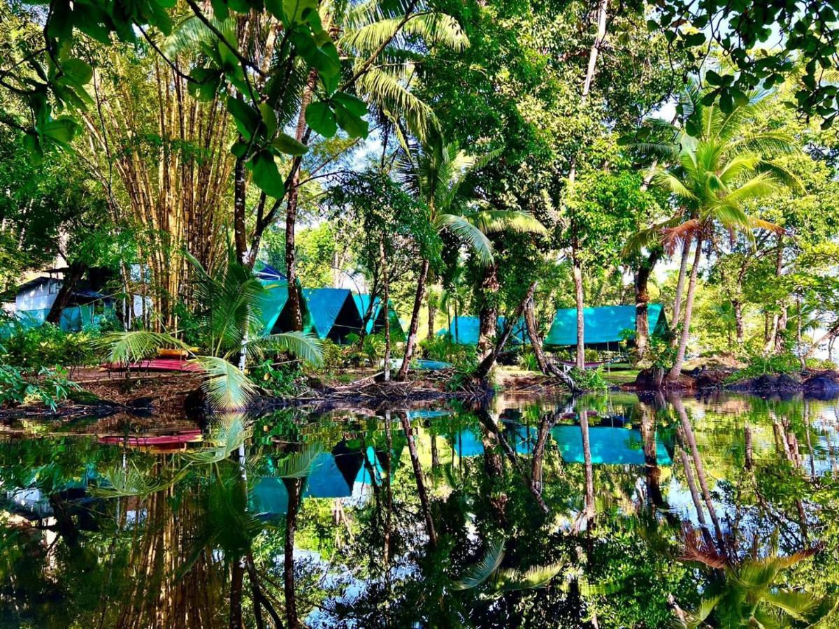 بيت شباب Corcovado Adventures Drakes Bay المظهر الخارجي الصورة