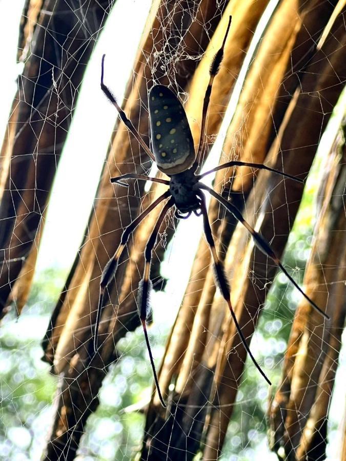 بيت شباب Corcovado Adventures Drakes Bay المظهر الخارجي الصورة