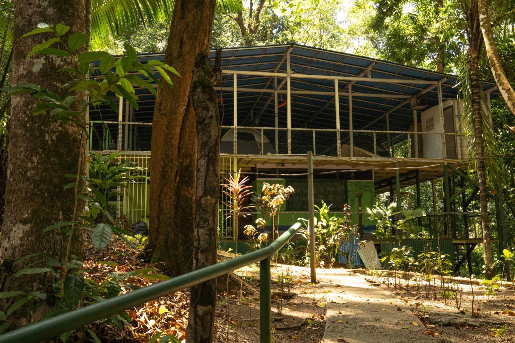 بيت شباب Corcovado Adventures Drakes Bay المظهر الخارجي الصورة