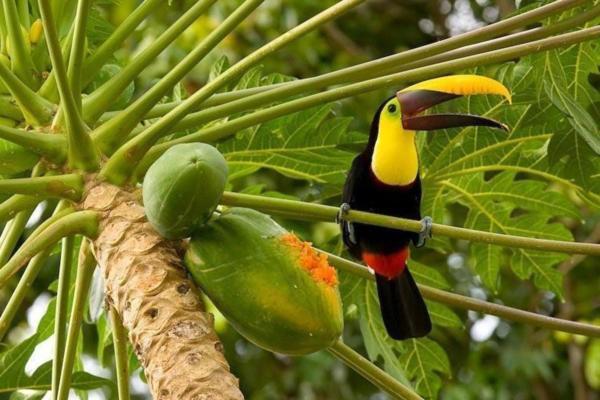 بيت شباب Corcovado Adventures Drakes Bay المظهر الخارجي الصورة