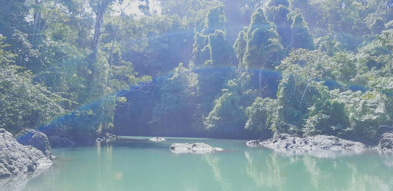 بيت شباب Corcovado Adventures Drakes Bay المظهر الخارجي الصورة