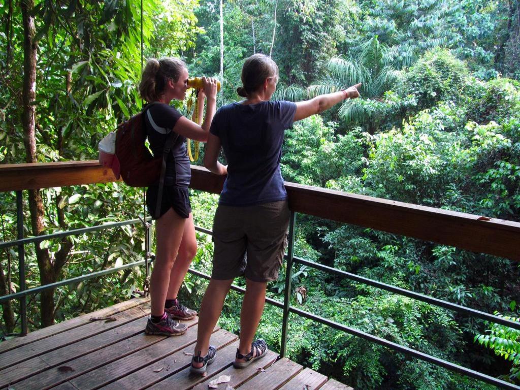 بيت شباب Corcovado Adventures Drakes Bay المظهر الخارجي الصورة
